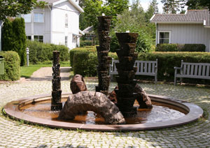 The-pond, Den lilla skogstjärnen